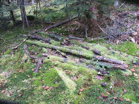 biotope