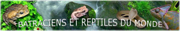BATRACIENS ET REPTILES DU MONDE