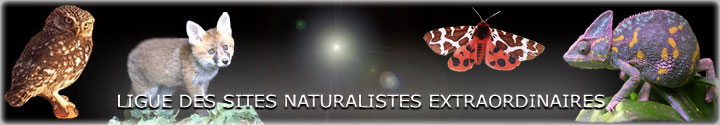 ligue des sites naturalistes extraordinaires