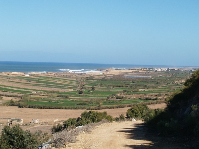P1018201.jpg (179.14 Kio) Vu 15813 fois ces dépressions longent la côte entre El Jadida et Oualidia, elles sont riches en eau douce et permettent l'agriculture.