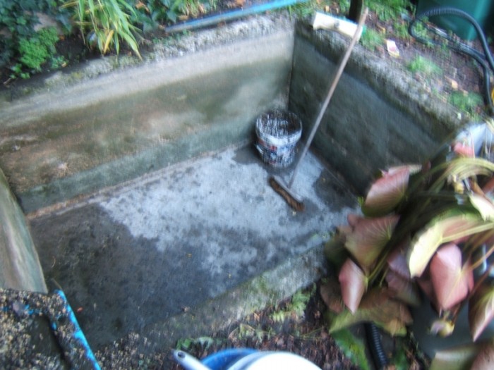 DSCF6101.JPG (395.33 Kio) Vu 26017 fois bassin à l'origine