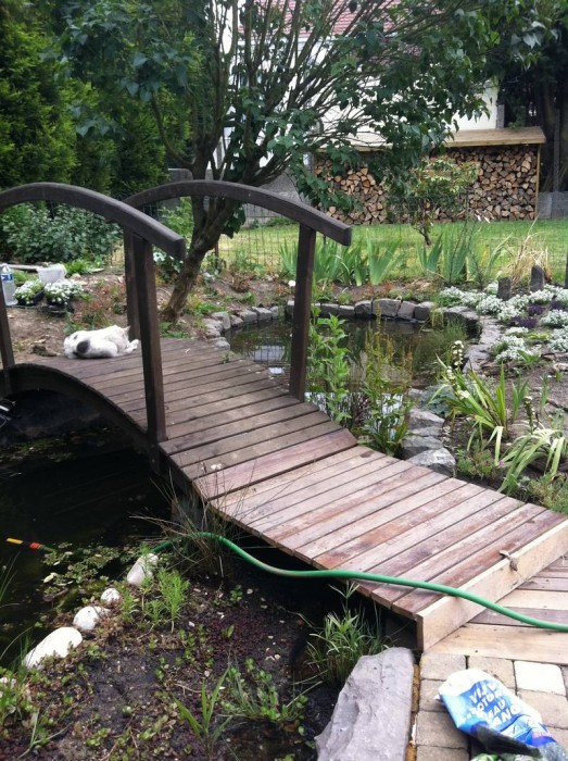 IMG_0867.JPG (211.62 Kio) Vu 26013 fois entrée du mini pont