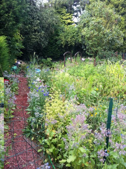 jardin avec allee.jpg (192.64 Kio) Vu 29626 fois Zoom du jardin :)