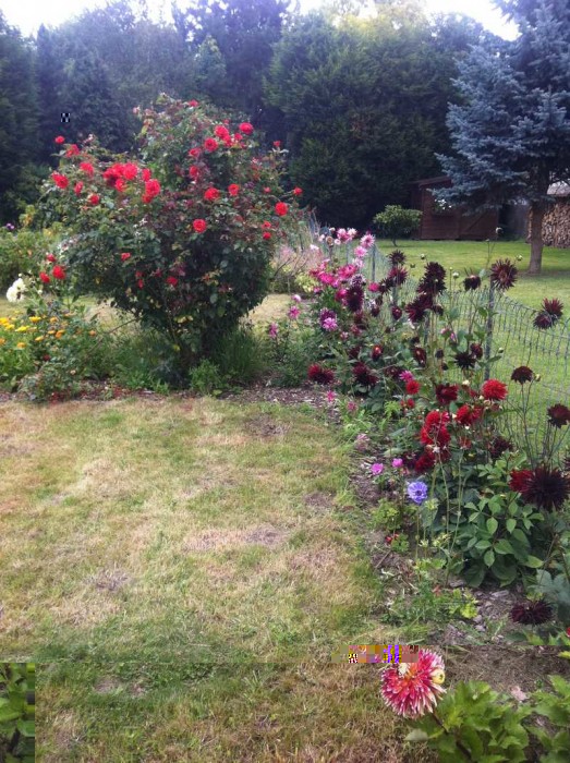 quelques fleurs sur le coté droit