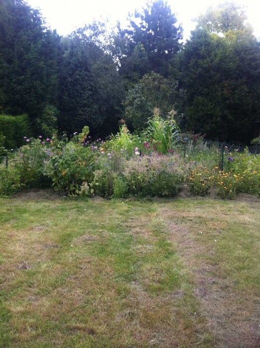 JARDIN DE LOIN.jpg (129.13 Kio) Vu 29626 fois Jardin de loin