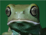 Avatar de l’utilisateur