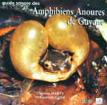 guide sonore