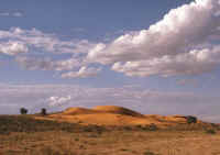 kalahari
