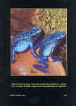 livre de Charly Merminod verso.JPG