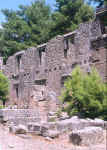 seleucia