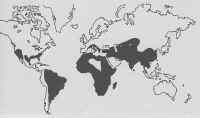 carte repartition des tortues dans le monde