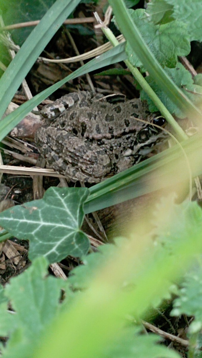 original.jpg