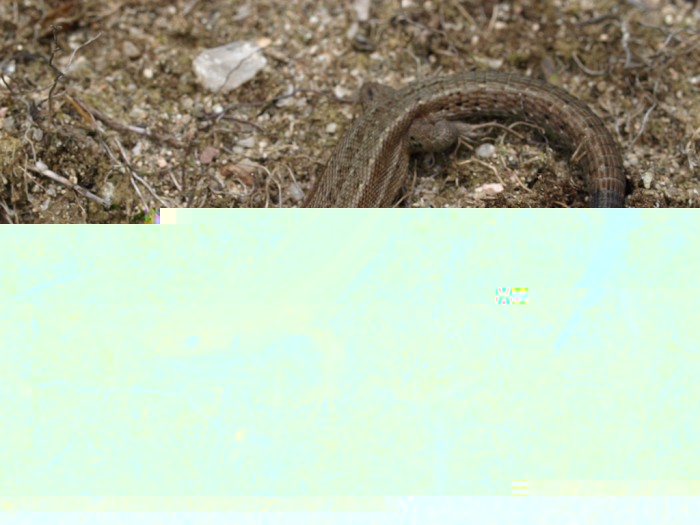 JC154174.jpg